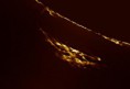 /album/soleil/a26-juillet-2013-ettet-coronographe-jpg/
